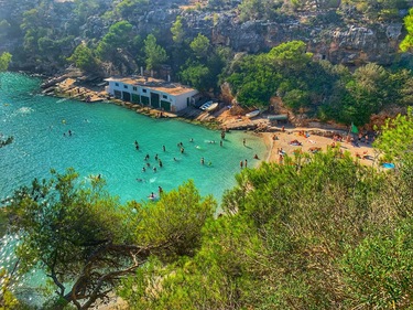 🏝️ Palma de Mallorca €159 heen en terug!