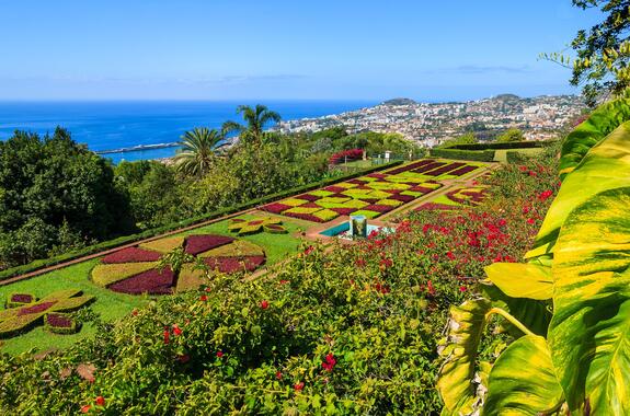 Fly & Drive Madeira Charms of Madeira - Inclusief huurauto