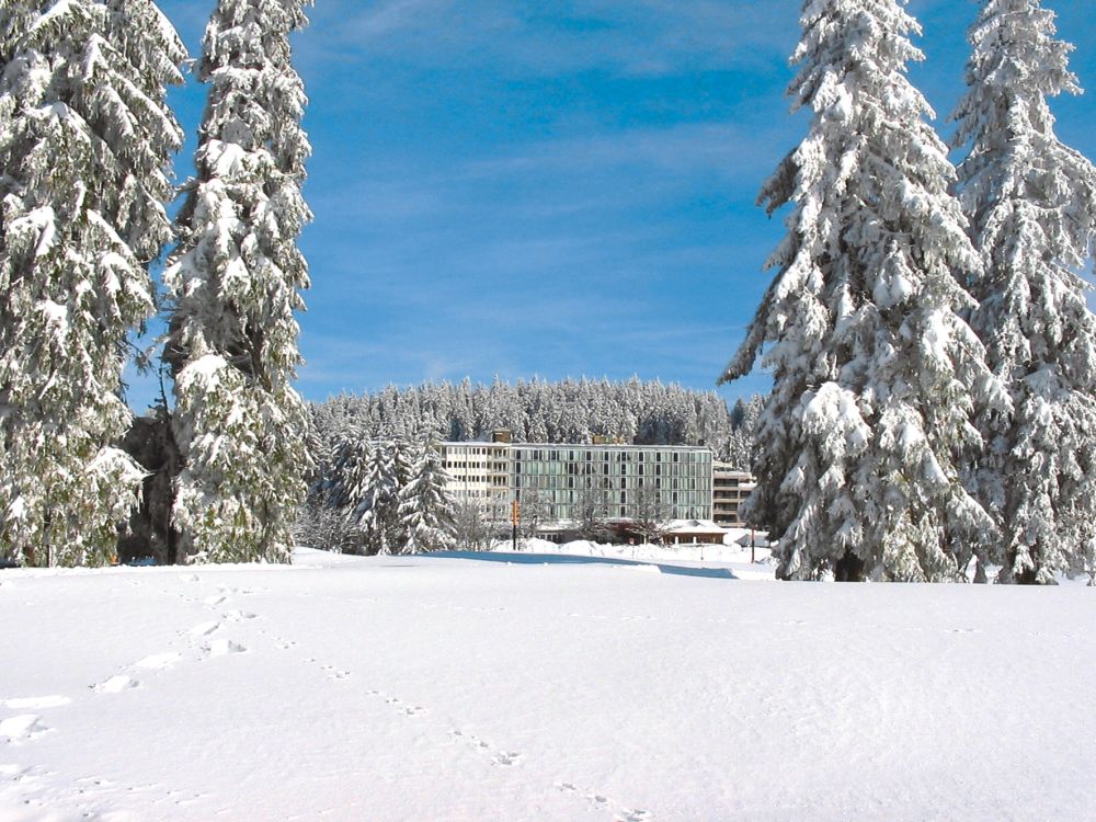 Aparthotel am Feldberg