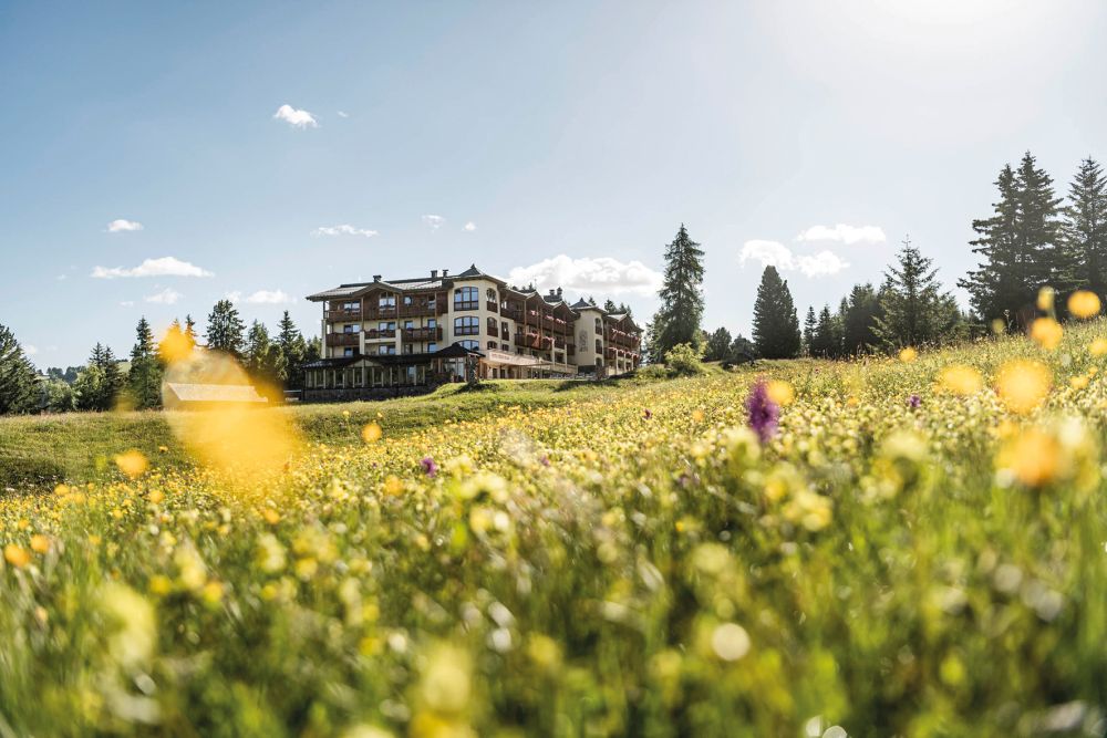 Hotel Steger - Dellai