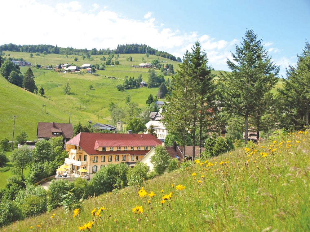 Naturparkhotel Grüner Baum